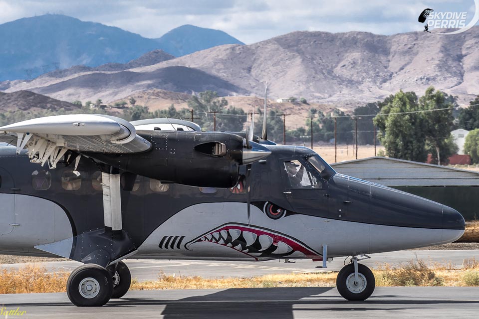 Grey and white twin turbine airplane painted like a shark