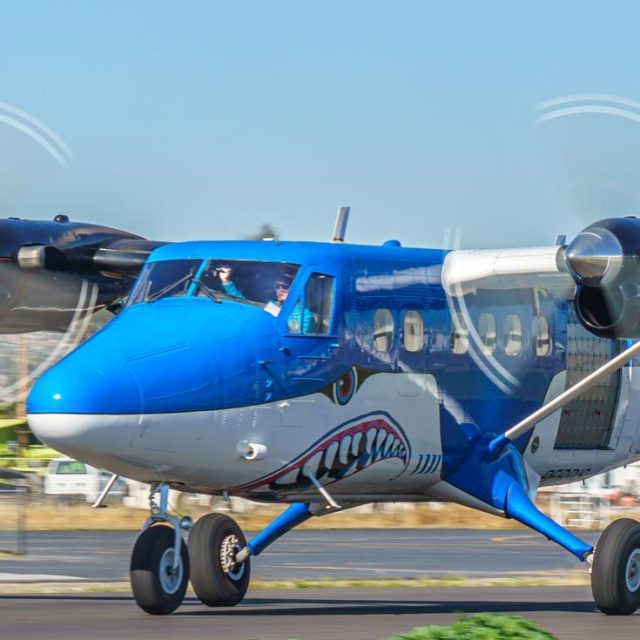 Blue and white twin turbine airplane painted like a shark