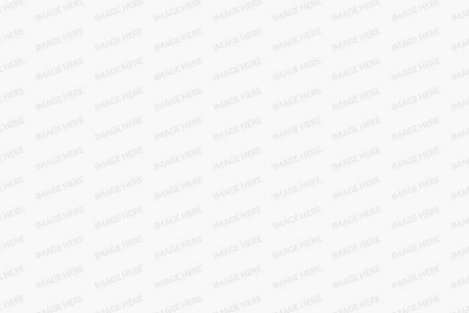 A blank, light gray background with a repeated watermark pattern that says “IMAGE HERE” diagonally across the entire image.